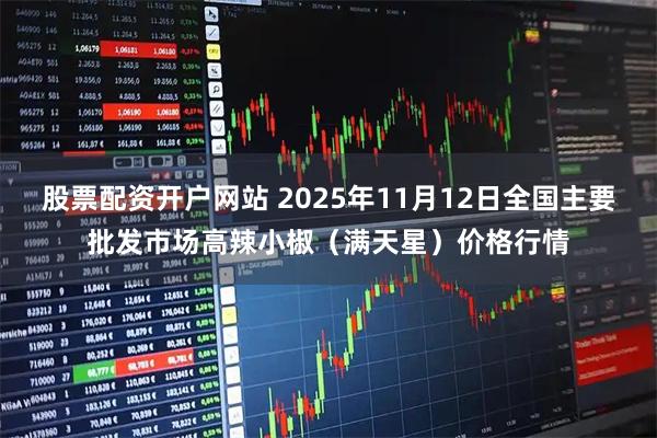 股票配资开户网站 2025年11月12日全国主要批发市场高辣小椒(满天星)价格行情