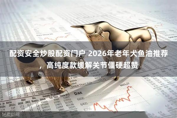 配资安全炒股配资门户 2026年老年犬鱼油推荐,高纯度款缓解关节僵硬超赞